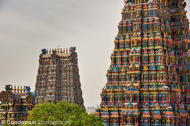 The temple towers soar above the city making it the largest and tallest structure in Madurai. The height of the towers range from 45-50m in height, the tallest being the southern tower, 51.9 metres (170 ft) high.