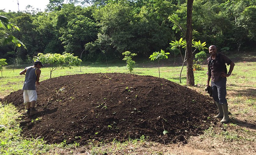 One of three garden mounds that we created. 