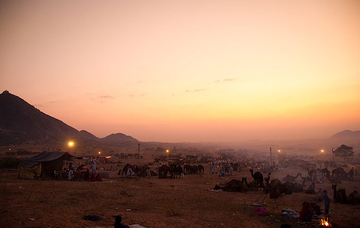 Sunset at the Pushkar Camel Fair