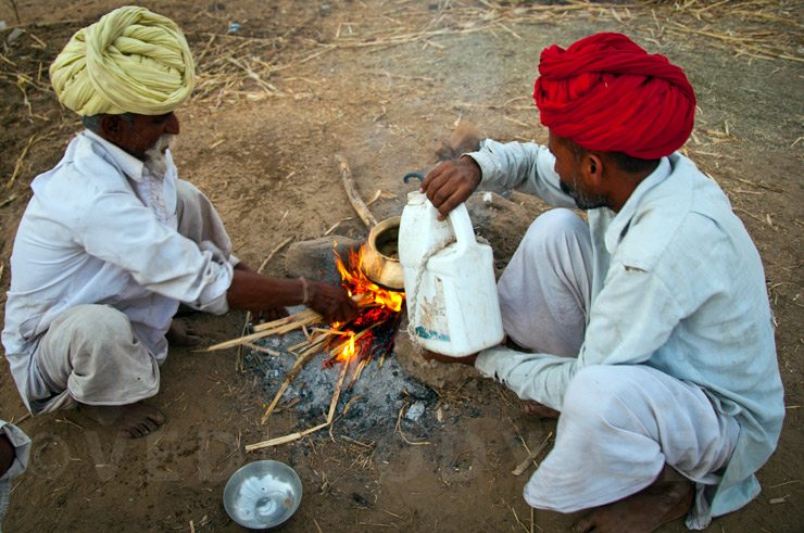 Camel traders cooking dinner, Pushkar