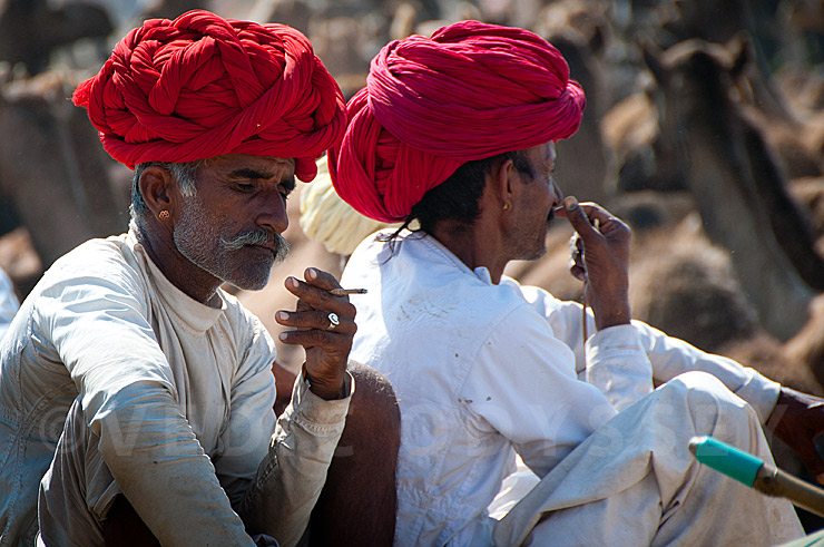 Rajasthan man with colorful turban, Pushkar, India