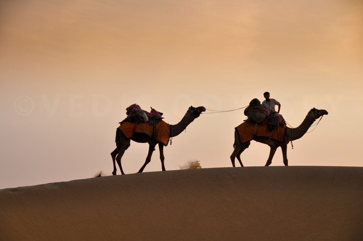 A night in the Great Thar Desert