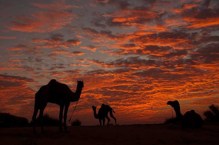 Sunrise in the great Thar Desert
