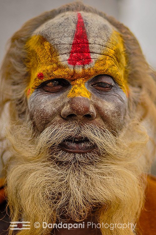 Series of Sadhu Images - Dandapani