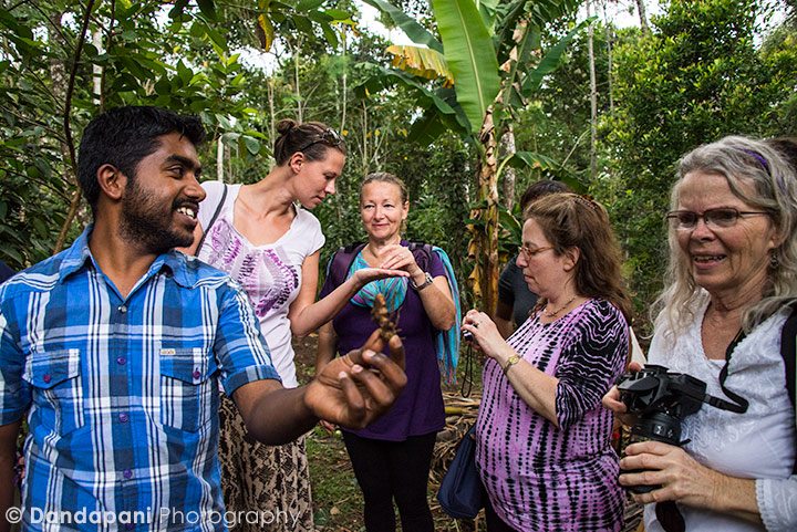 Thaj, our charismatic friend and guide, walks us around a spice garden … enlightening us on the world of spices.