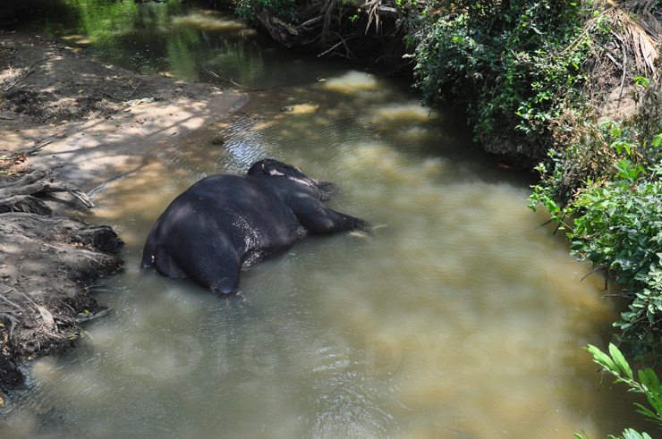 Highlights of Sri Lanka