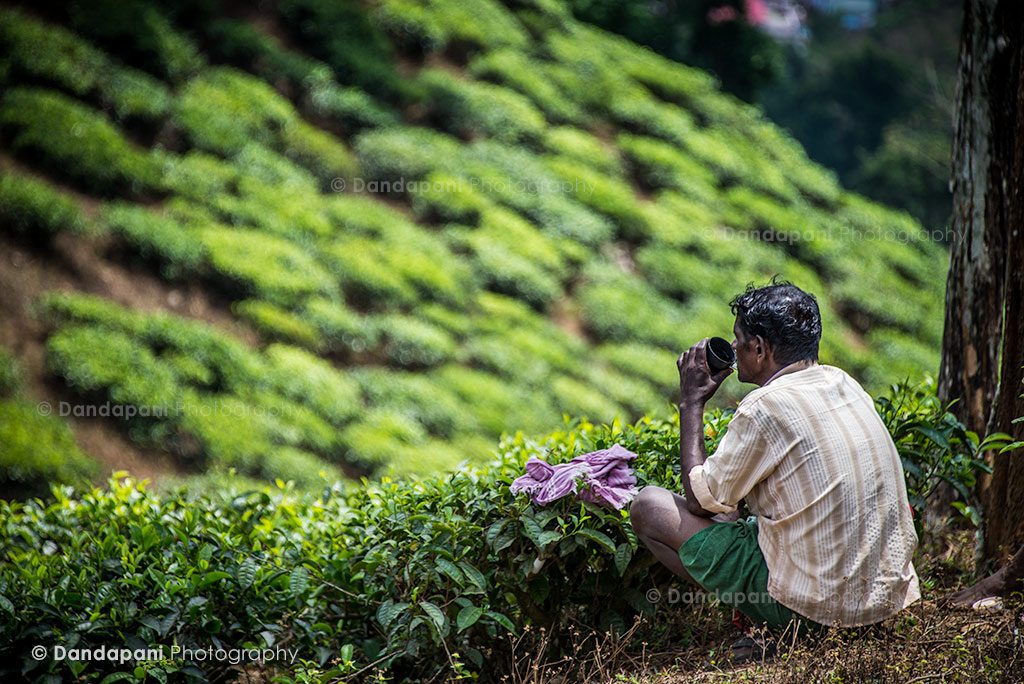 A tea plantation worker takes a break and enjoys his cup of tea and the breathtaking views. 