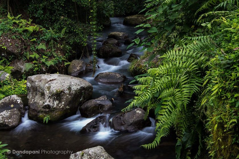 Water by Lao-tzu